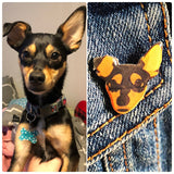 Customized Pet | Pin