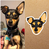 CUSTOM Pet | Stickers