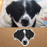 CUSTOM Pet | Stickers